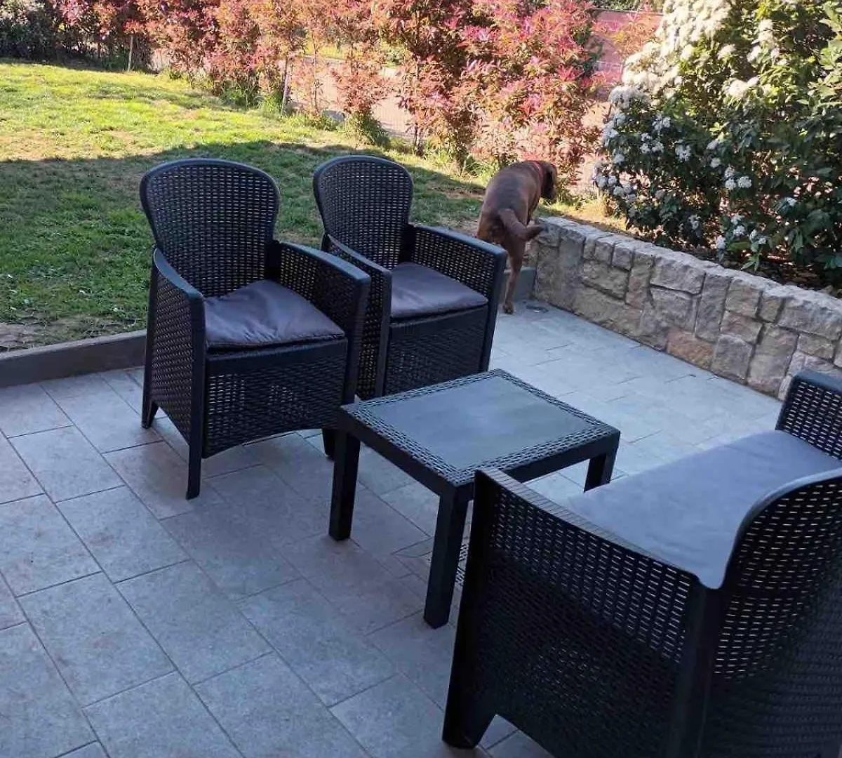Garden Apartment San Colombano al Lambro